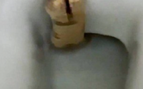 VÍDEO: Homem vai ao banheiro e se depara com cobra venenosa dentro do vaso