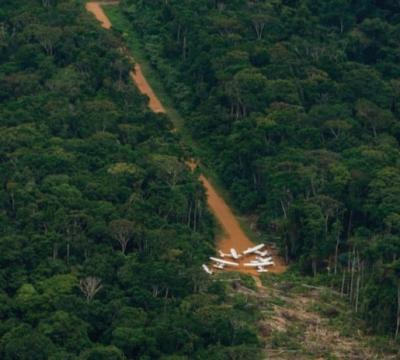 Barroso manda governo tomar medidas para proteger terras Yanomami e Munduruku