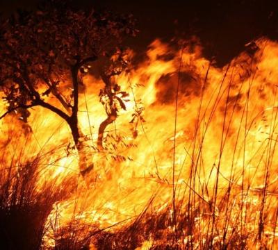 Estudo CNM: queimadas somam prejuízos de mais de R$ 1,1 bilhão no Brasil nos últimos seis anos