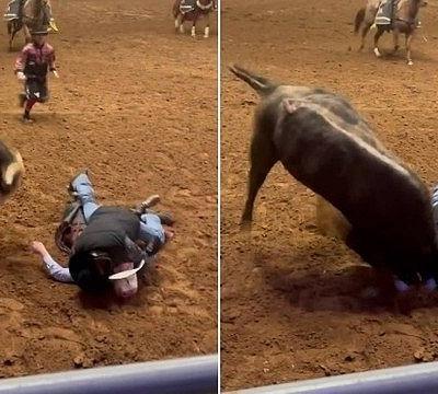 Para salvar filho que desmaiou, pai entra em arena e acaba chifrado por touro